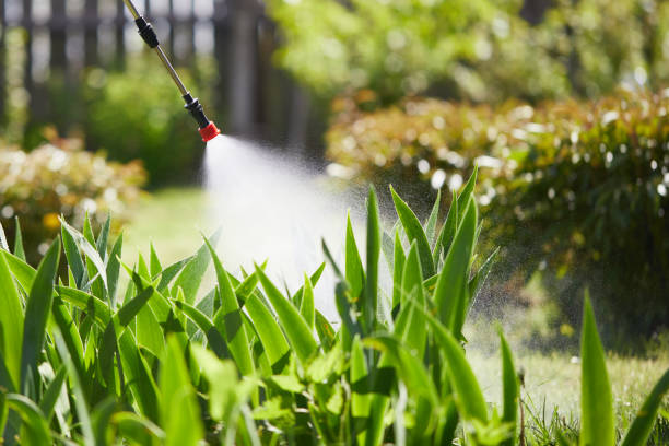 24/7 Emergency Ant Control experts in Trenton, IL