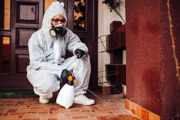 Reliable Ant Control contractor in Trenton, IL by Nex Pest Control