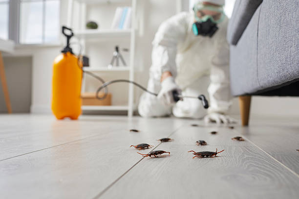 Trusted Fumigation Services service in Trenton, IL - Nex Pest Control