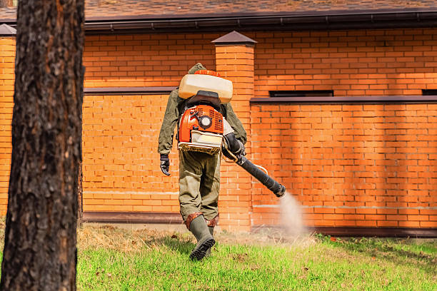 Trusted Ant Control service in Trenton, IL - Nex Pest Control